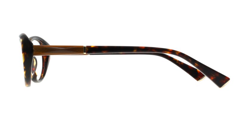 Anson Benson MT2453F031 Eyeglasses - Side View